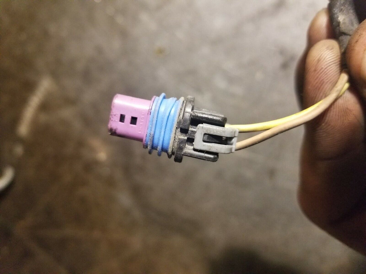 LML OIL PAN HARNESS PIGTAIL 2 PIN