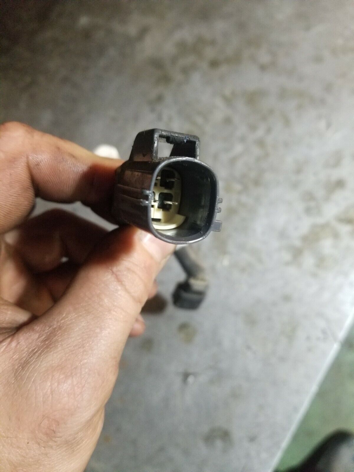 1872509C91 Powerstroke Diesel 6.4L International TUBRO ACTUATOR HARNESS