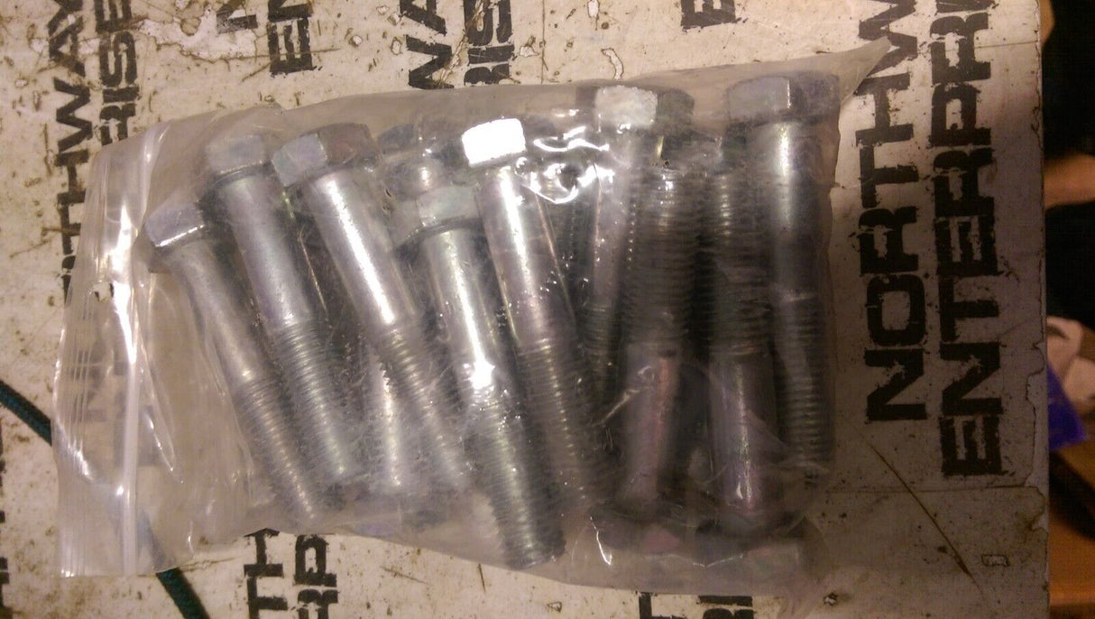 BOMAG HEX HEAD CAPSCREW 07131632 BAG OF 18 BOLTS