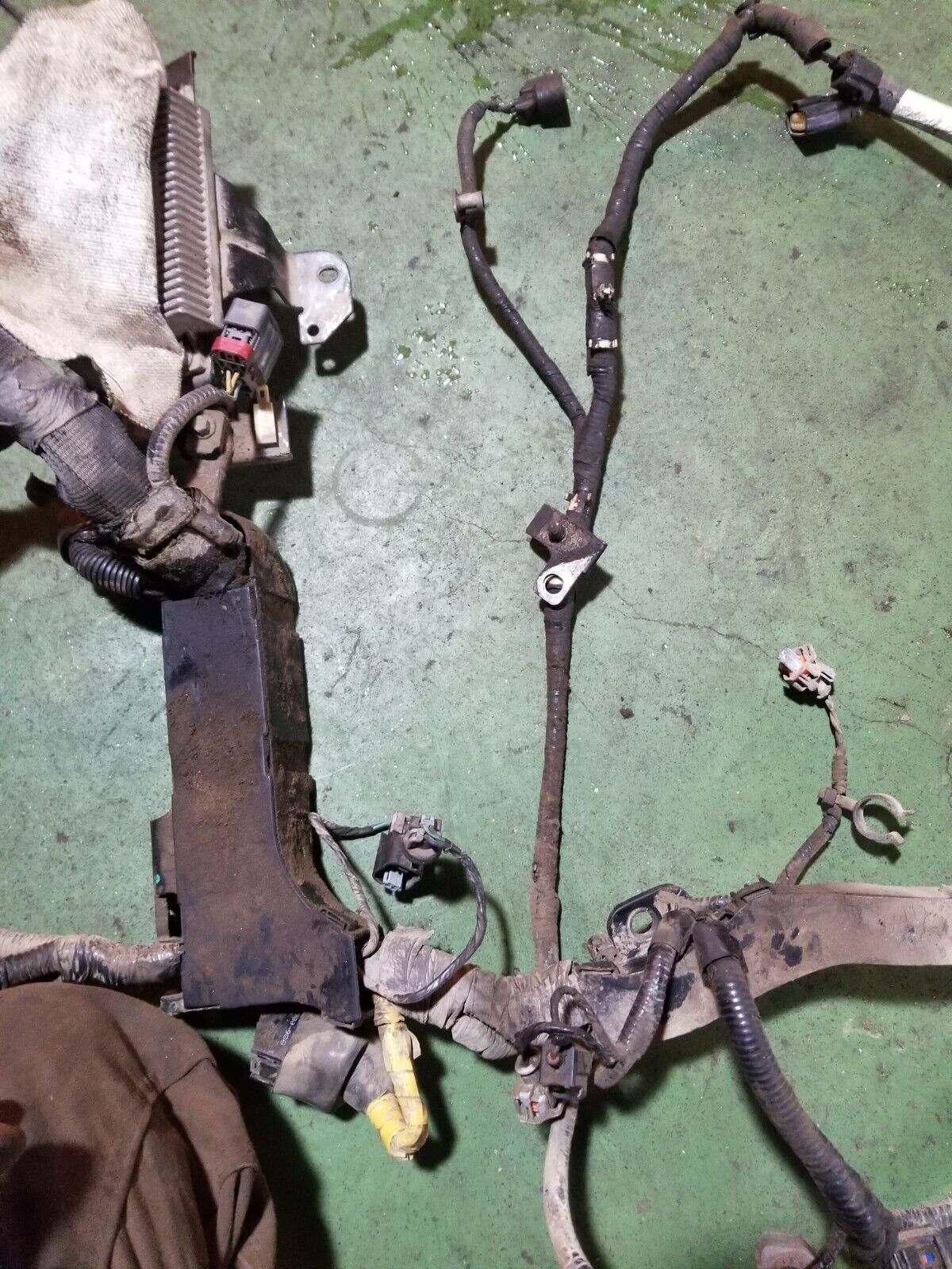 Ford F350 Diesel 6.4L Engine Harness 1876436C2 REF9122