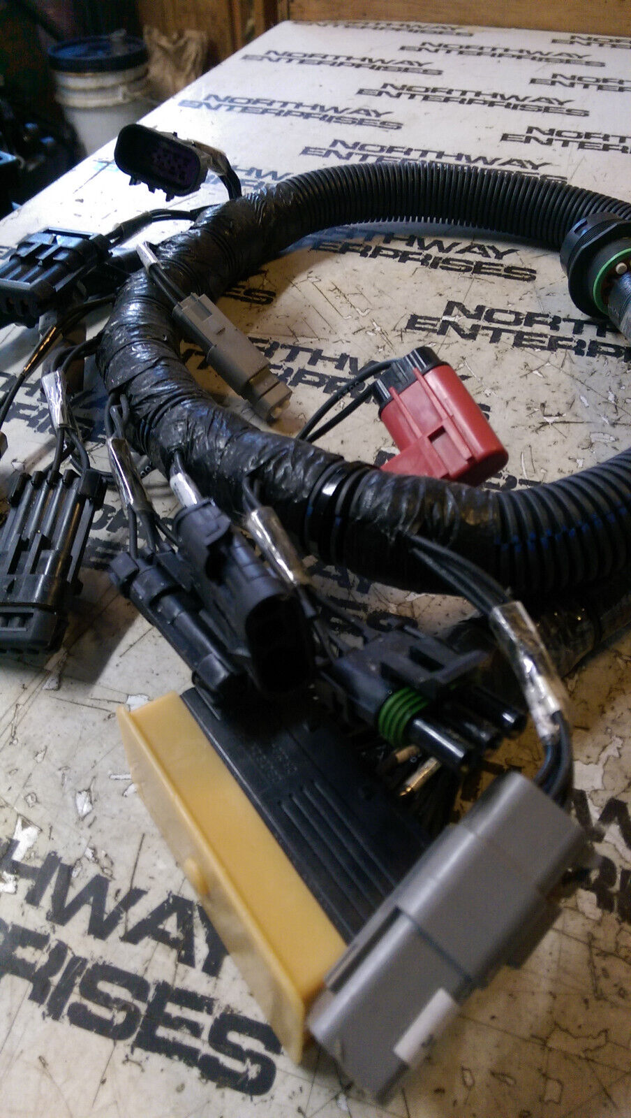 CUMMINS 3999668 VESSEL ADAPTER WIRING HARNESS