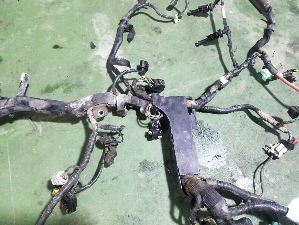 2008 Ford F350 Diesel 6.4L Engine Harness 1882683c91 1882683 C91