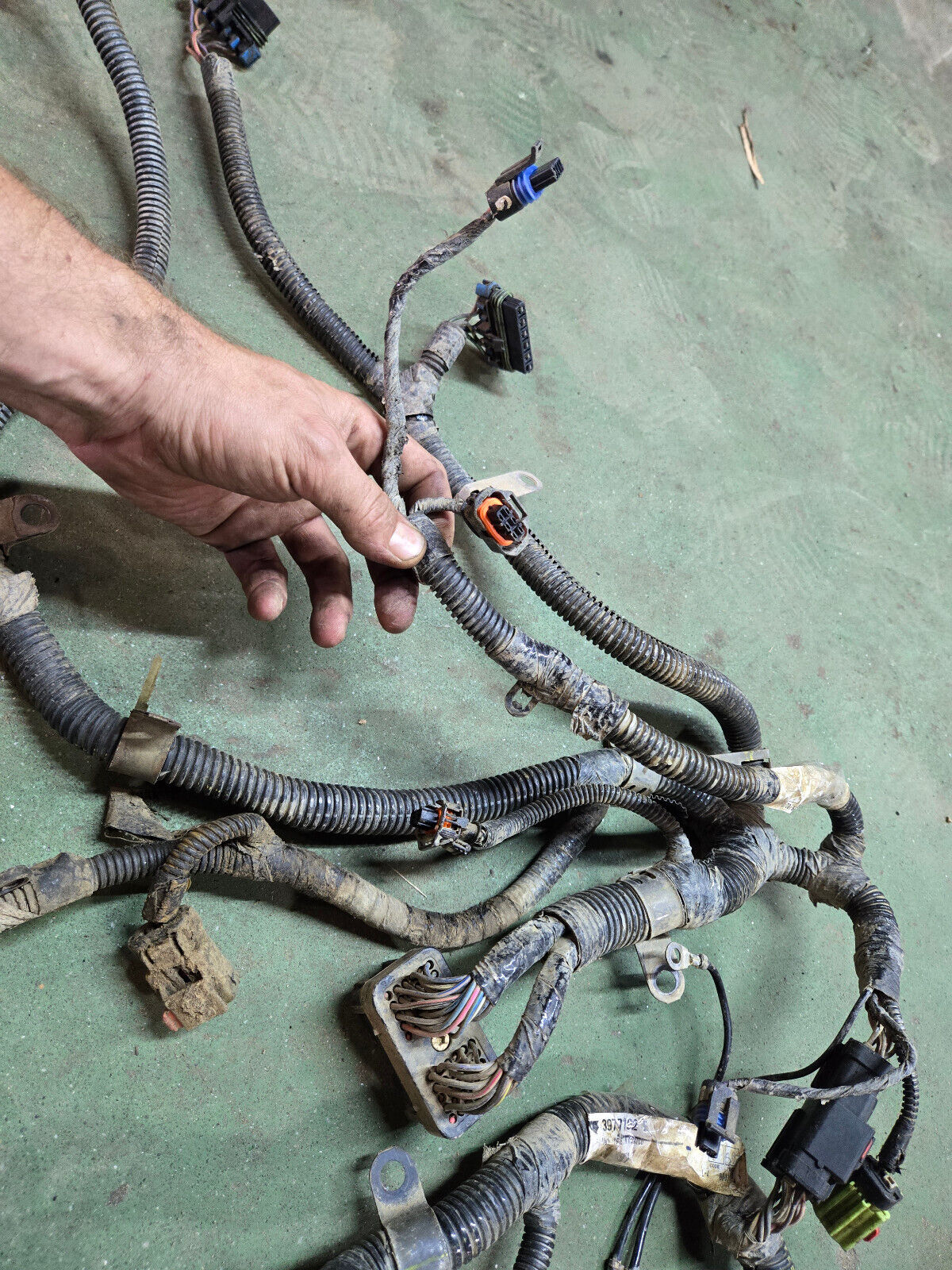 3977192 CUMMINS ENGINE HARNESS