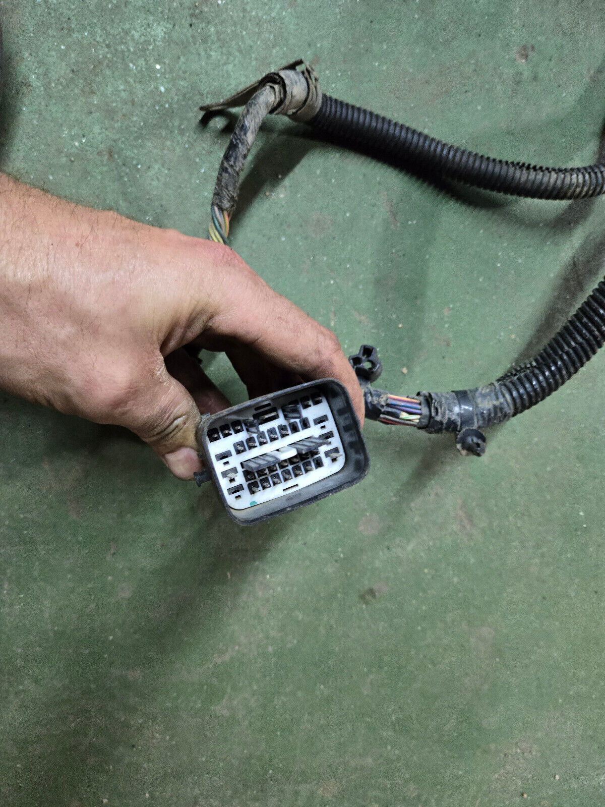 3977192 CUMMINS ENGINE HARNESS