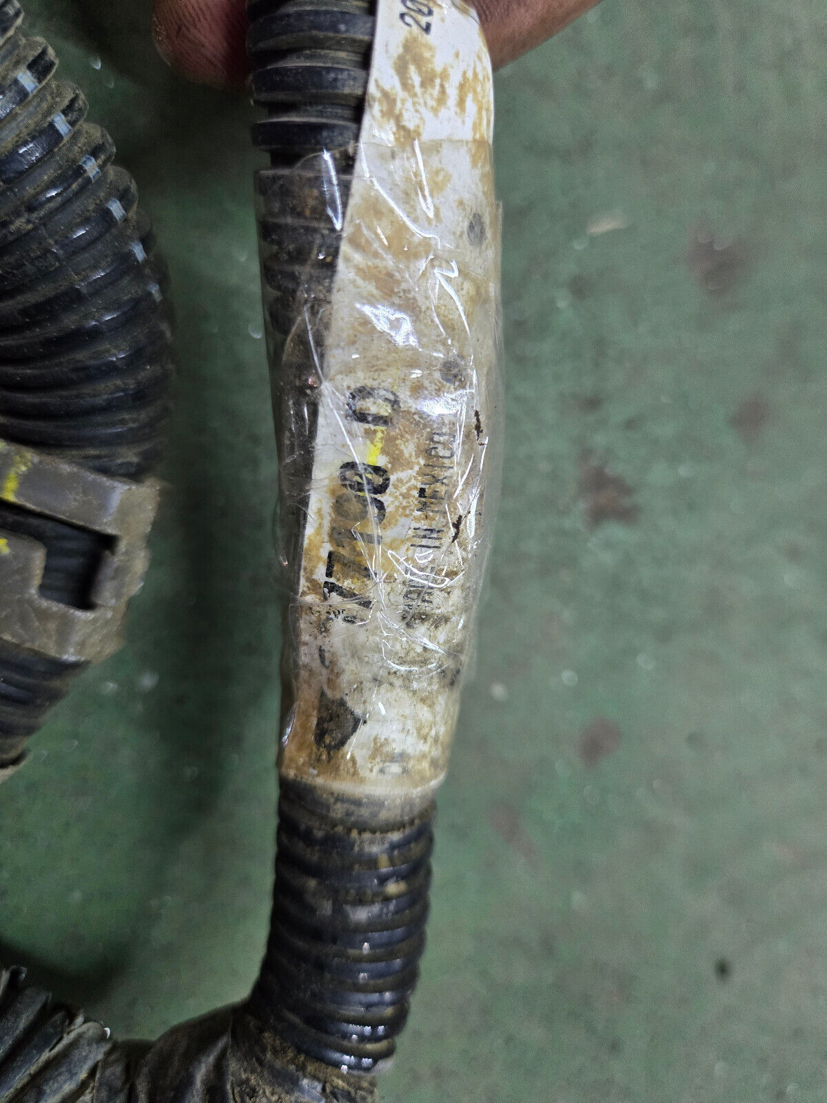 3977192 CUMMINS ENGINE HARNESS