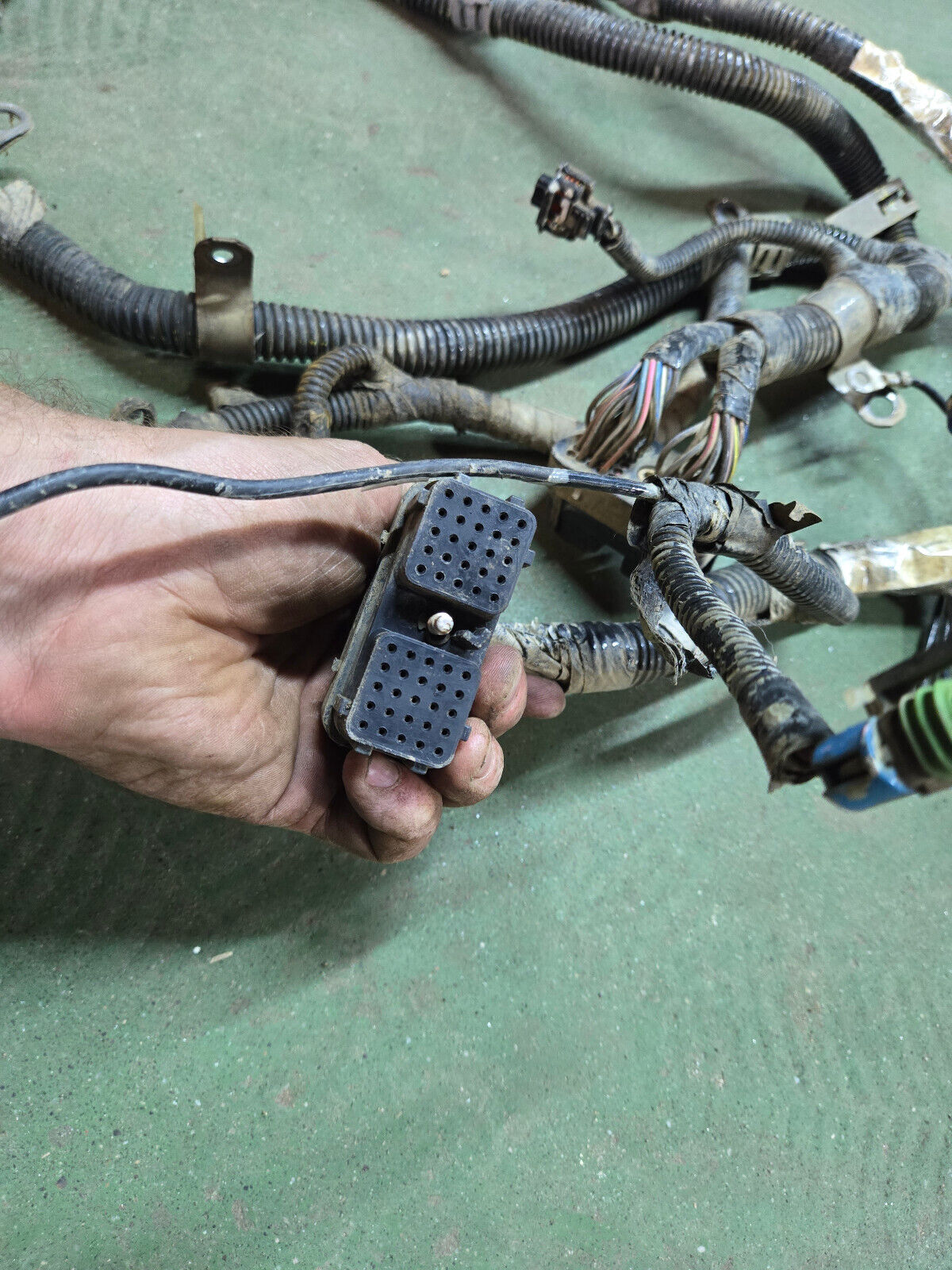 3977192 CUMMINS ENGINE HARNESS