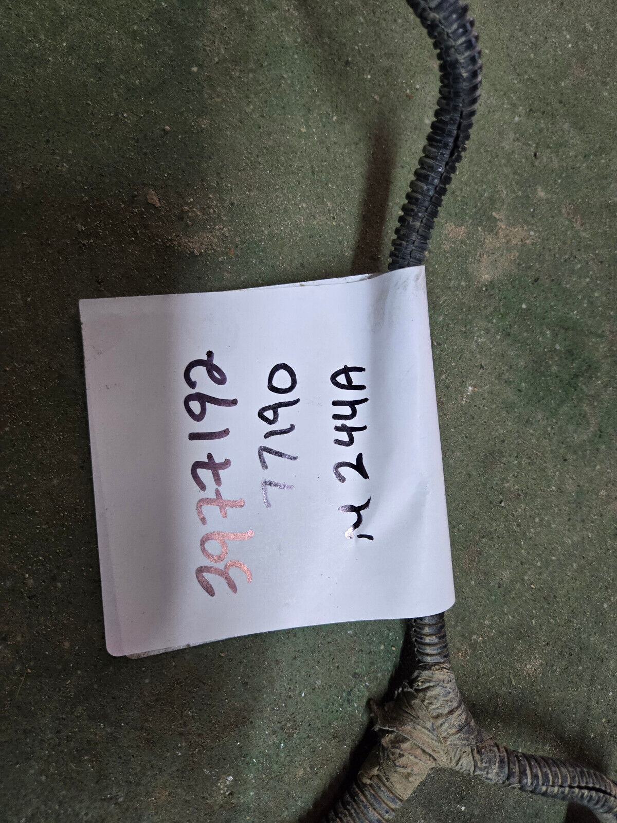 3977192 CUMMINS ENGINE HARNESS