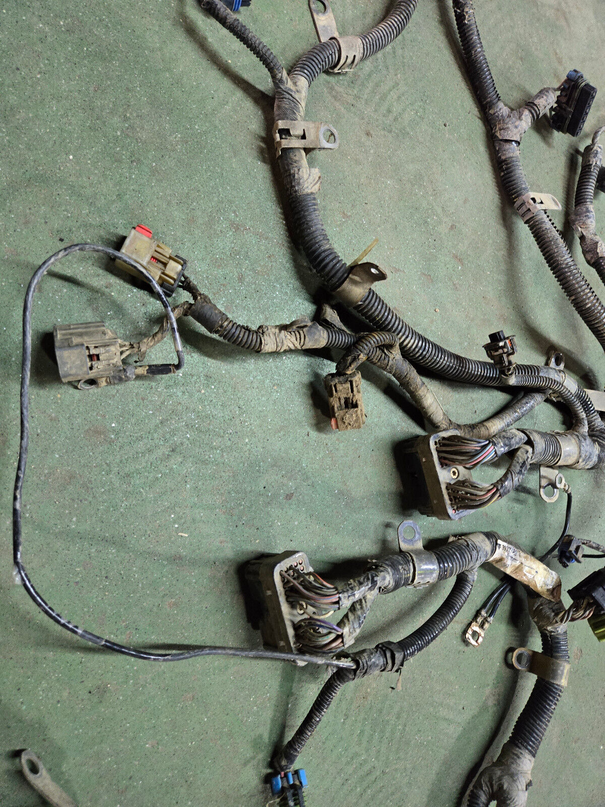 3977192 CUMMINS ENGINE HARNESS