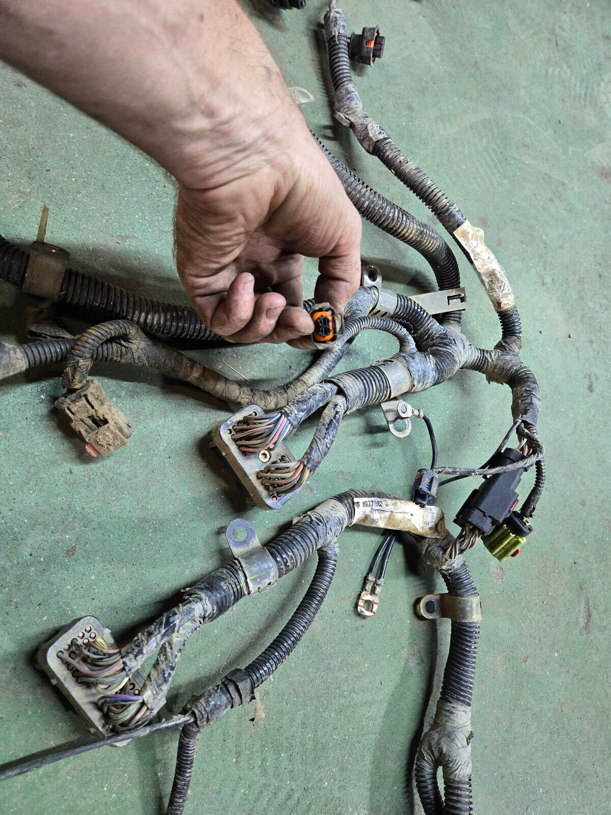 3977192 CUMMINS ENGINE HARNESS