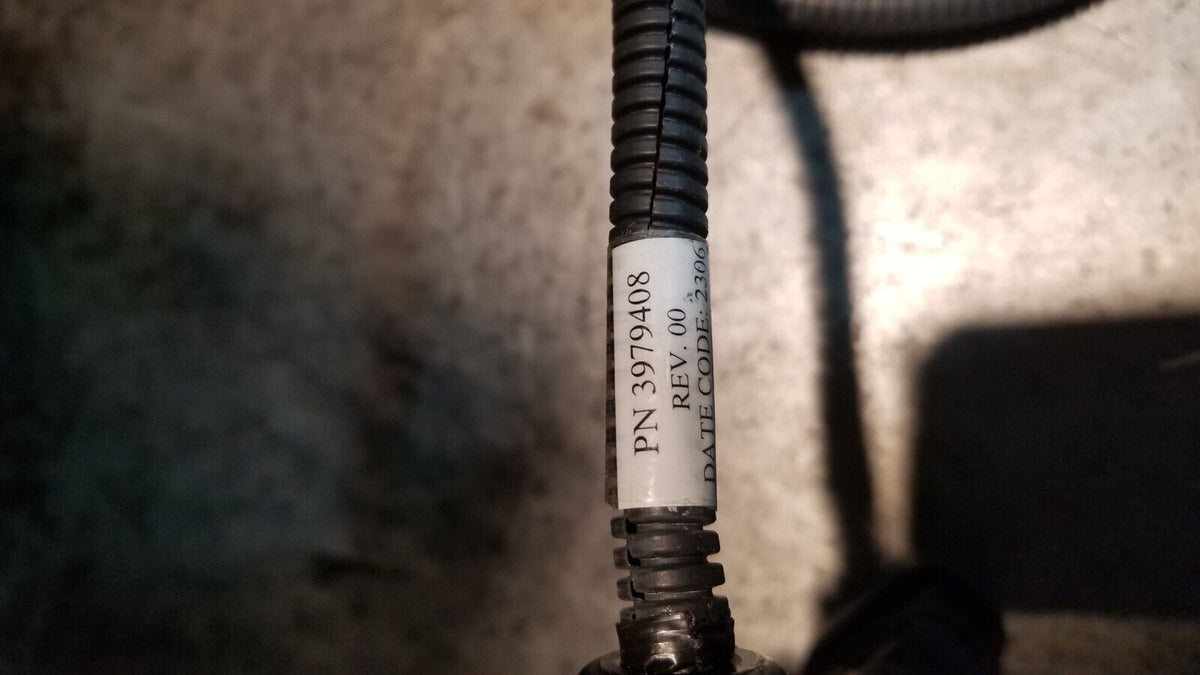 3979408 Cummins Marine Engine Harness