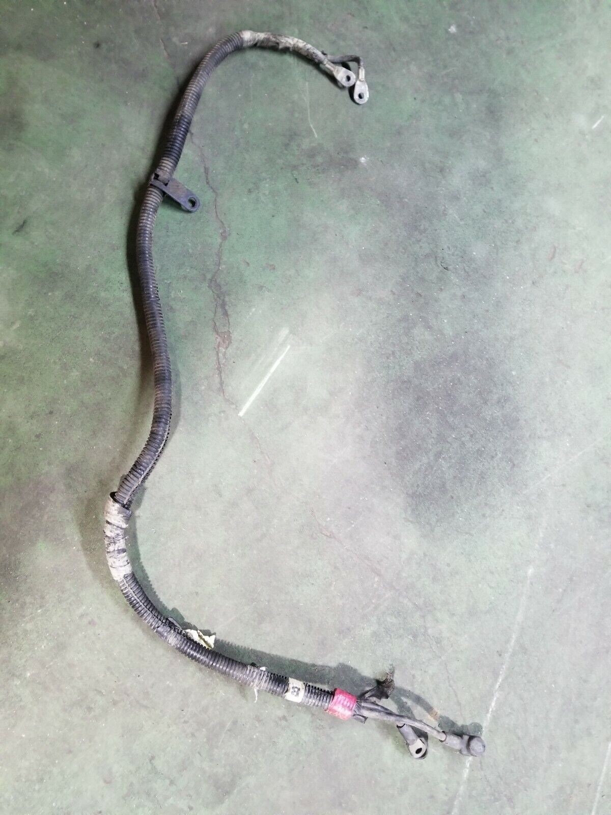 Cummins 3969529 HARNESS