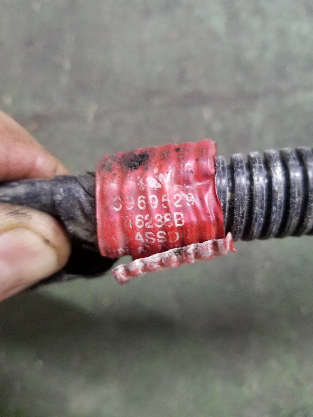 Cummins 3969529 HARNESS