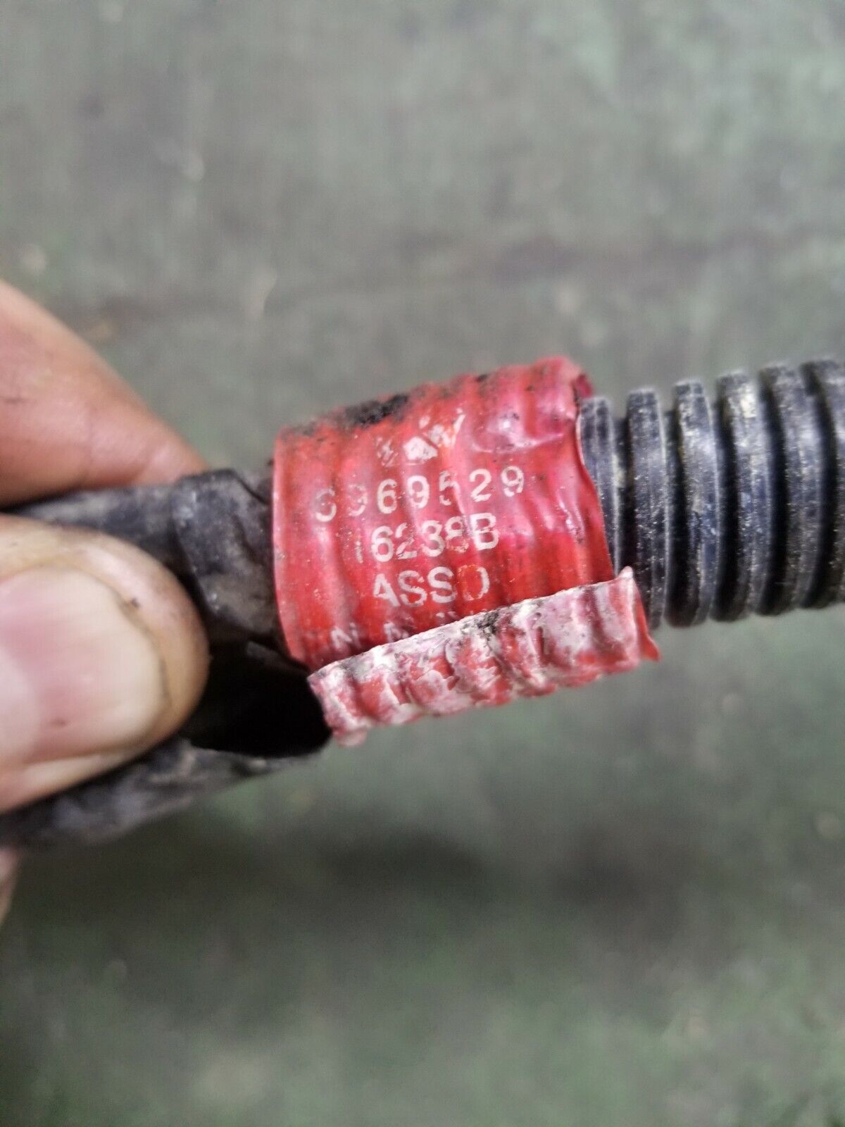 Cummins 3969529 HARNESS