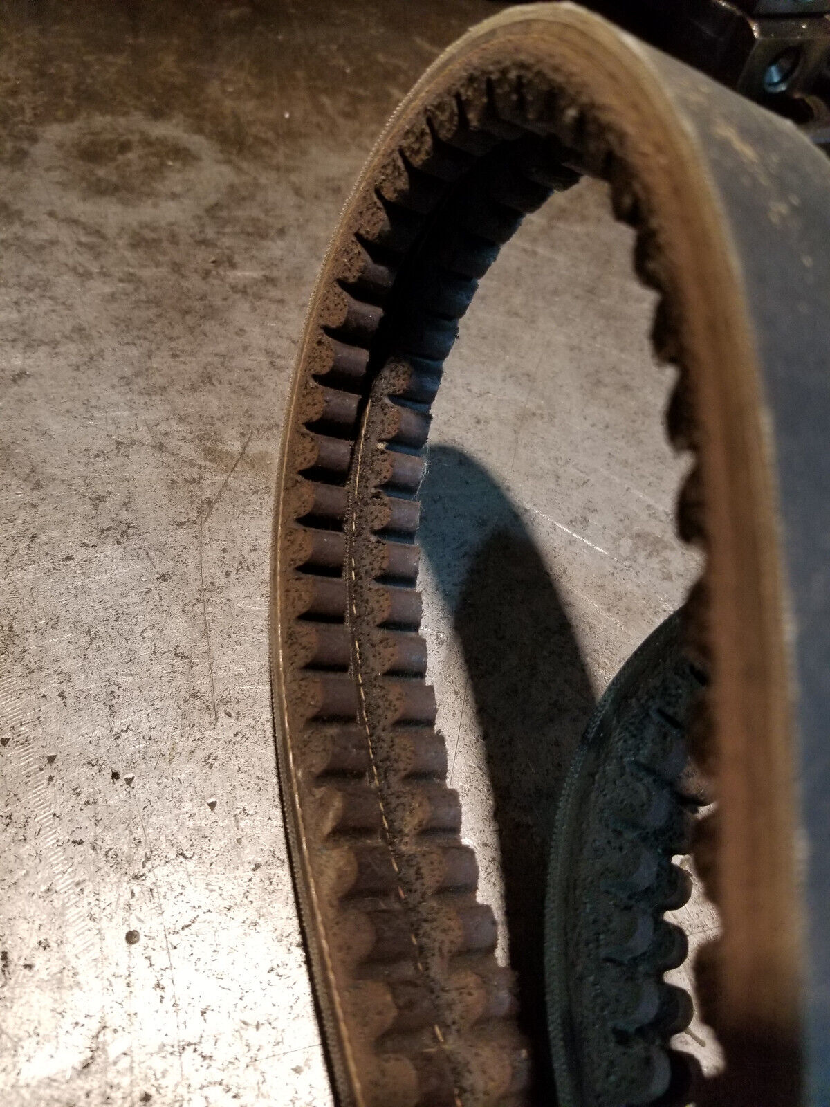 OEM CAT 350-1223 BELT 3501223