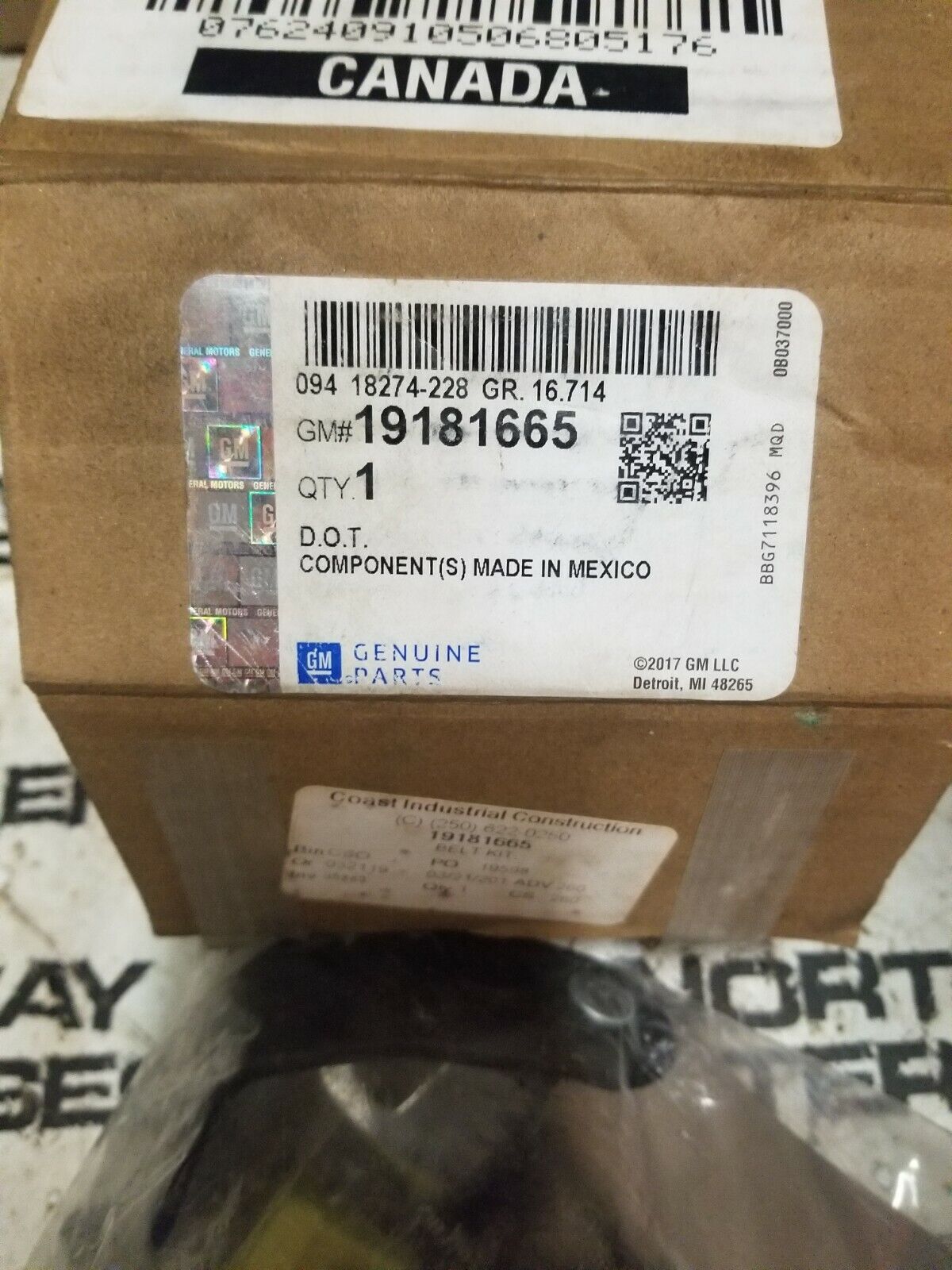 19181665 SEATBELT EXPRESS VAN