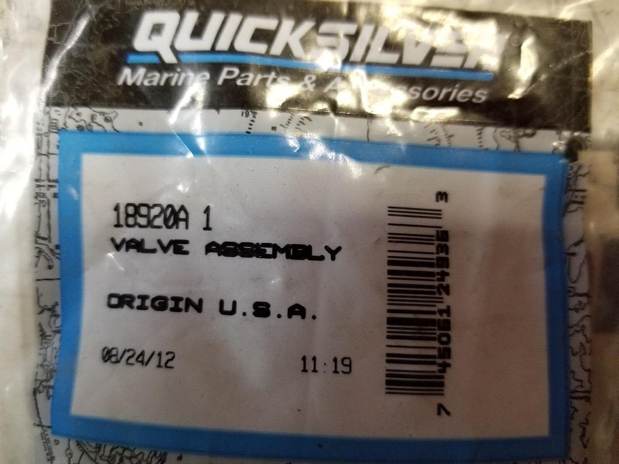 MerCruiser Quicksilver 18920A1 check valve assembly