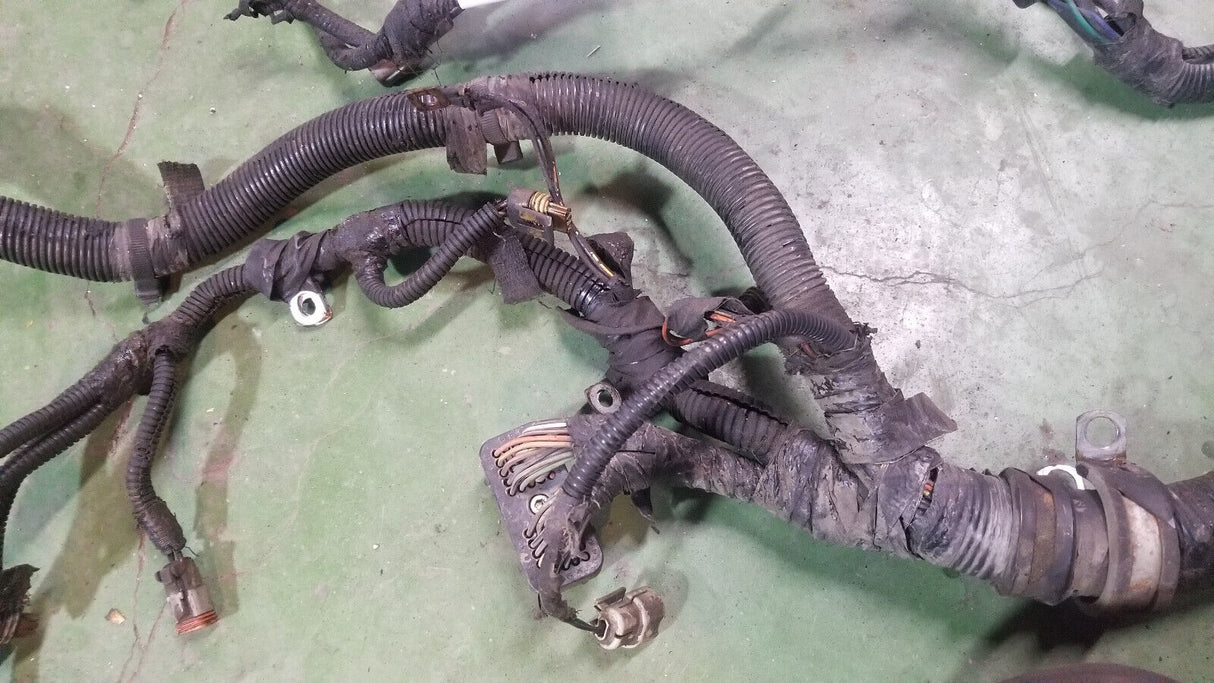 3942862 Harness 1998 24 Valve Dodge Ram Cummins Diesel 5.9L