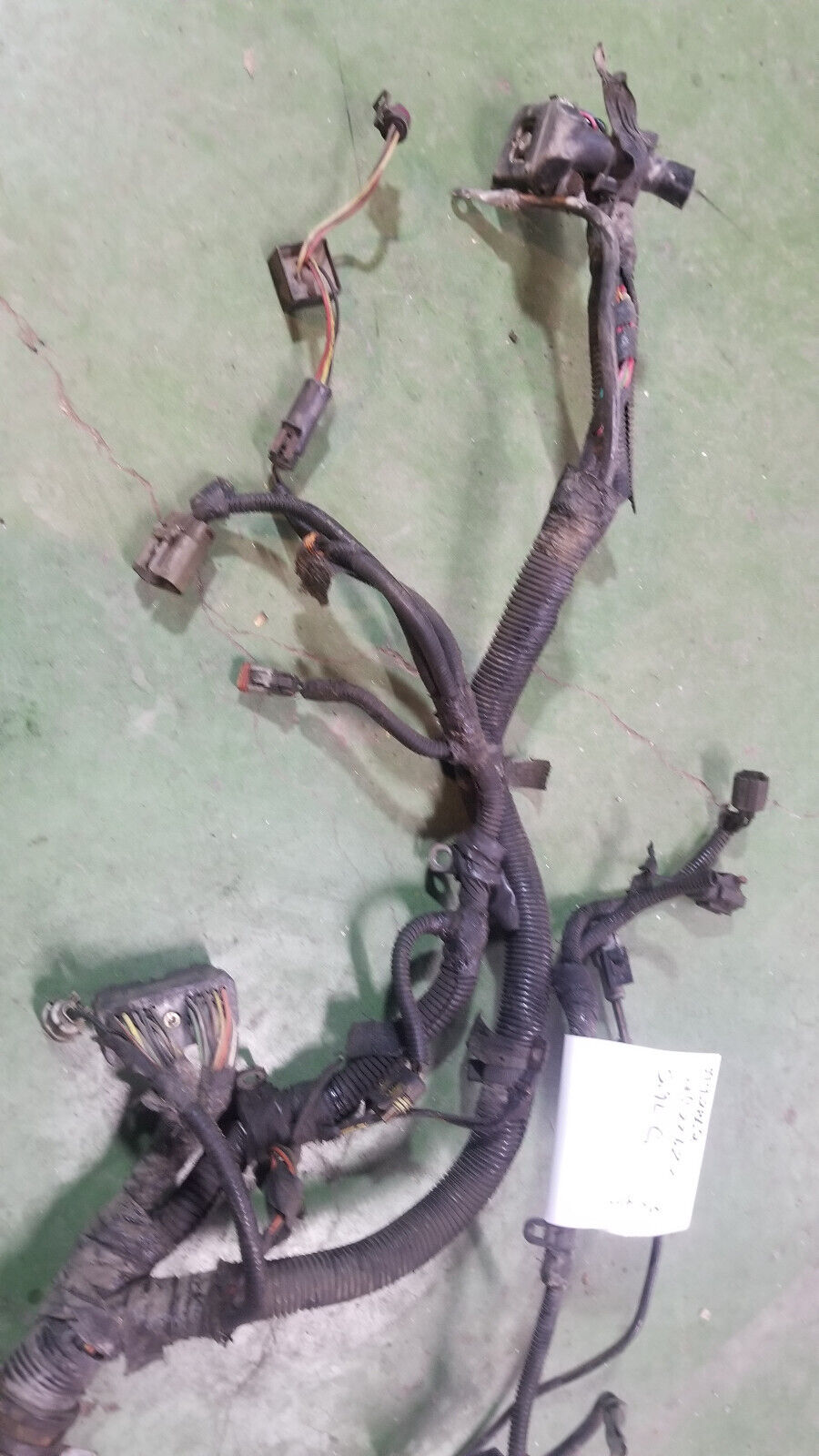 3942862 Harness 1998 24 Valve Dodge Ram Cummins Diesel 5.9L
