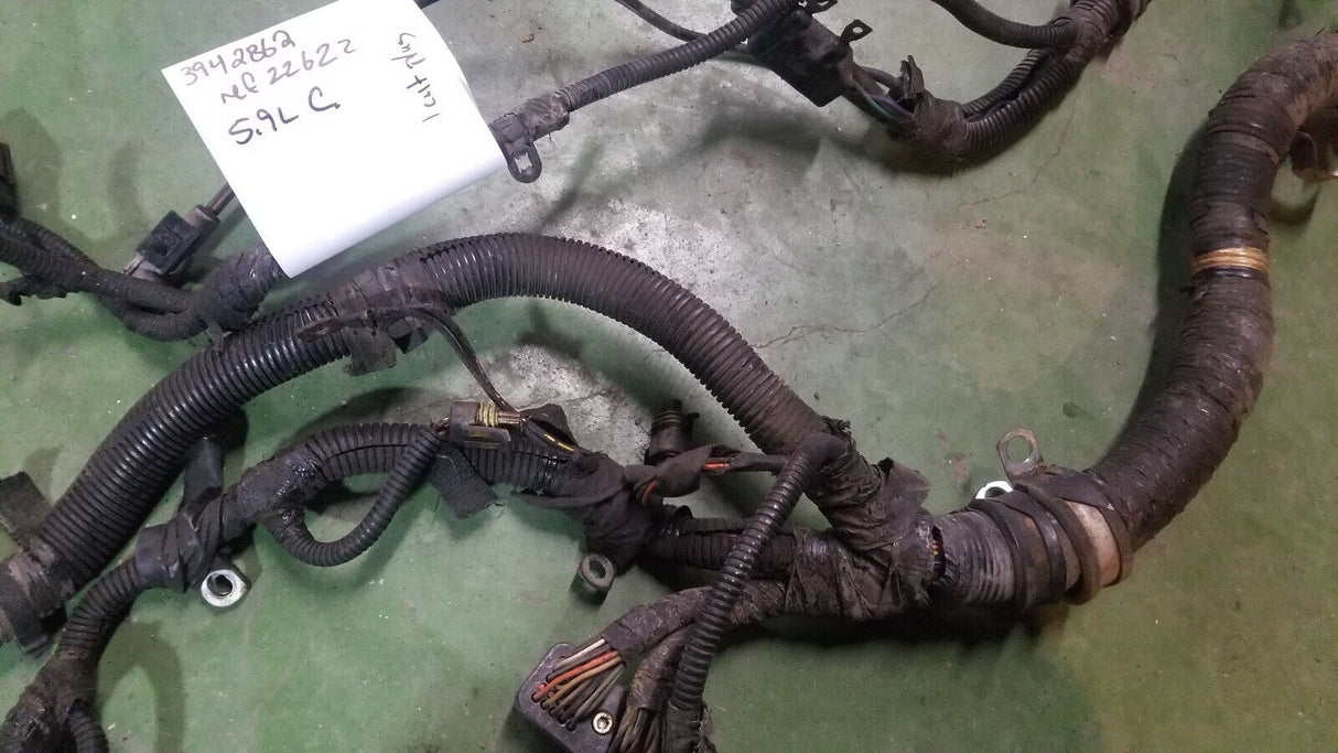 3942862 Harness 1998 24 Valve Dodge Ram Cummins Diesel 5.9L