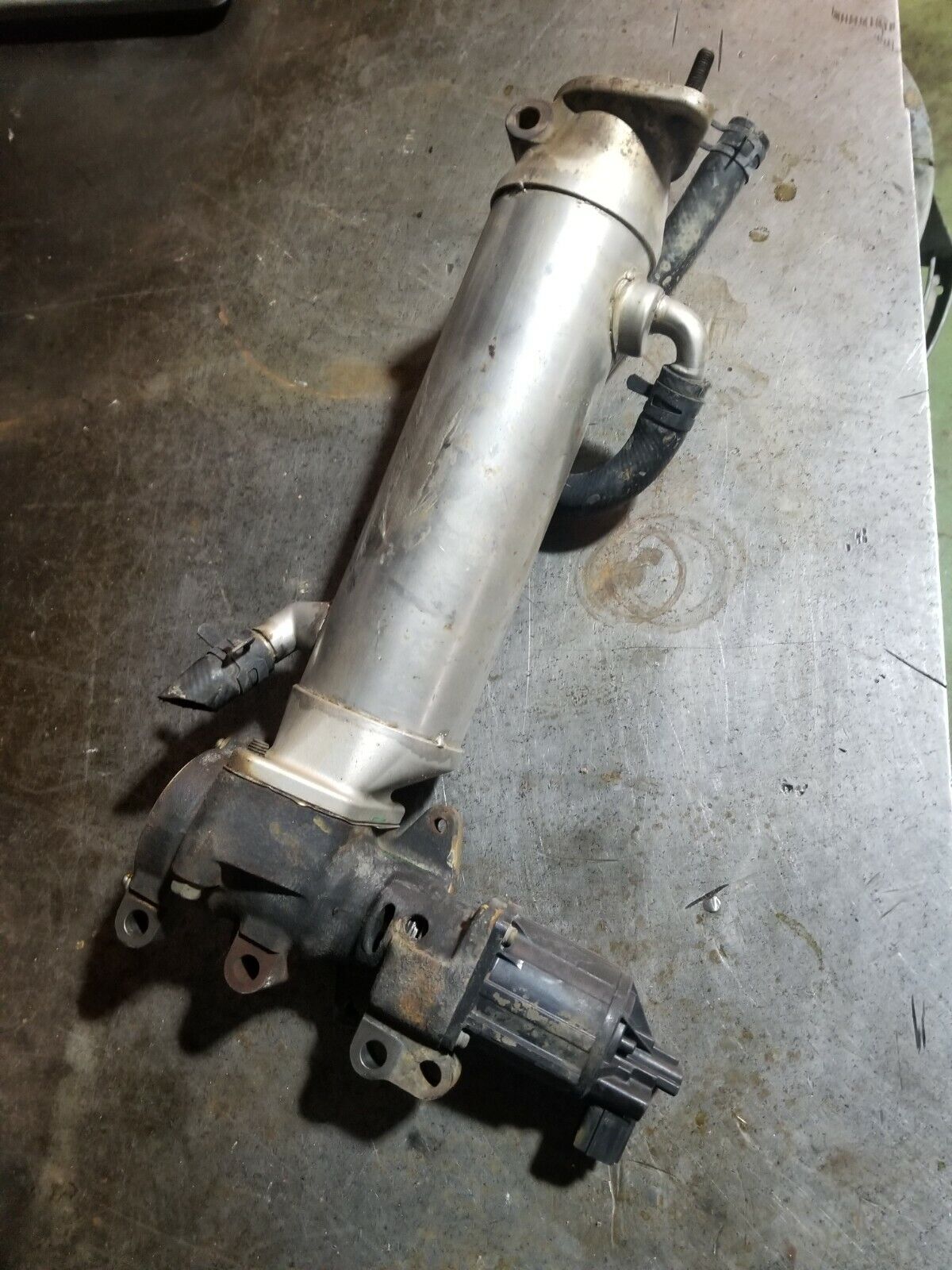 07 2007 LBZ DURAMAX DIESEL EGR COOLER 973585071 r626