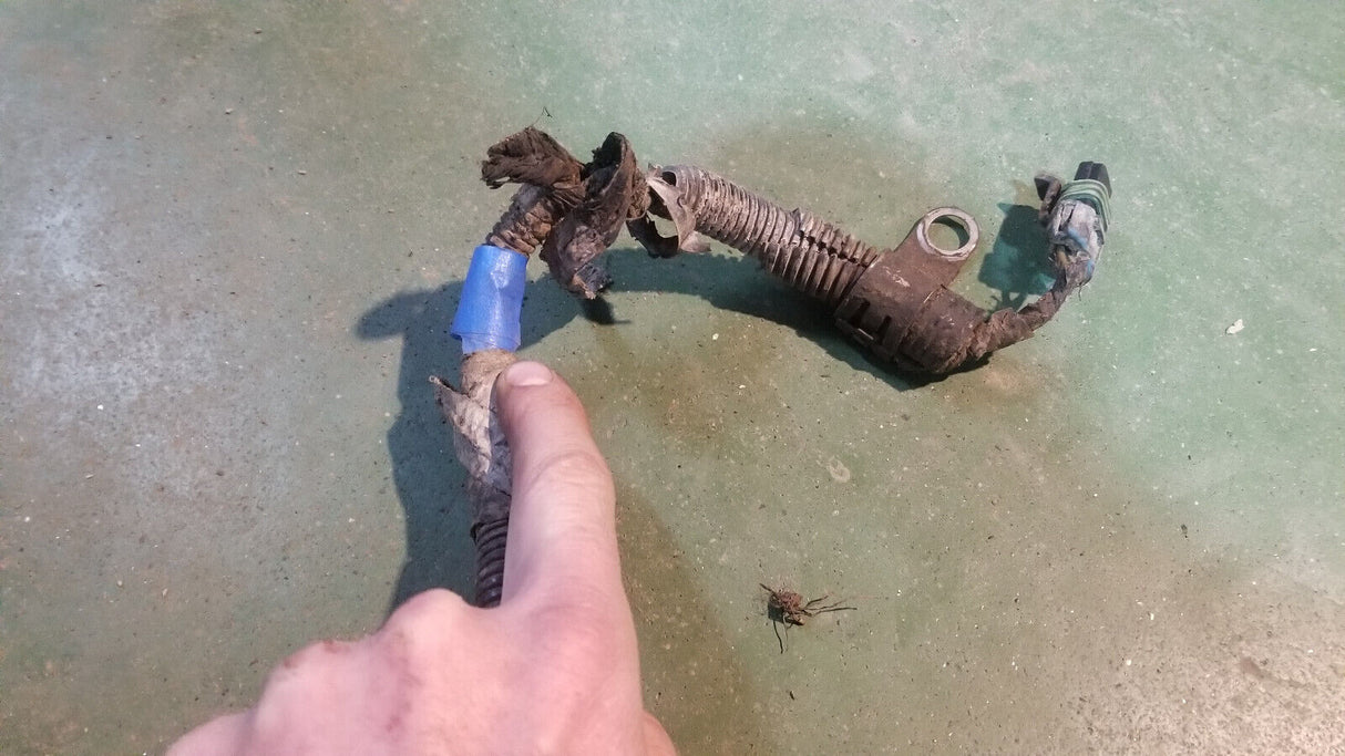 3972349 Engine Harness Dodge Ram Cummins Diesel 5.9L