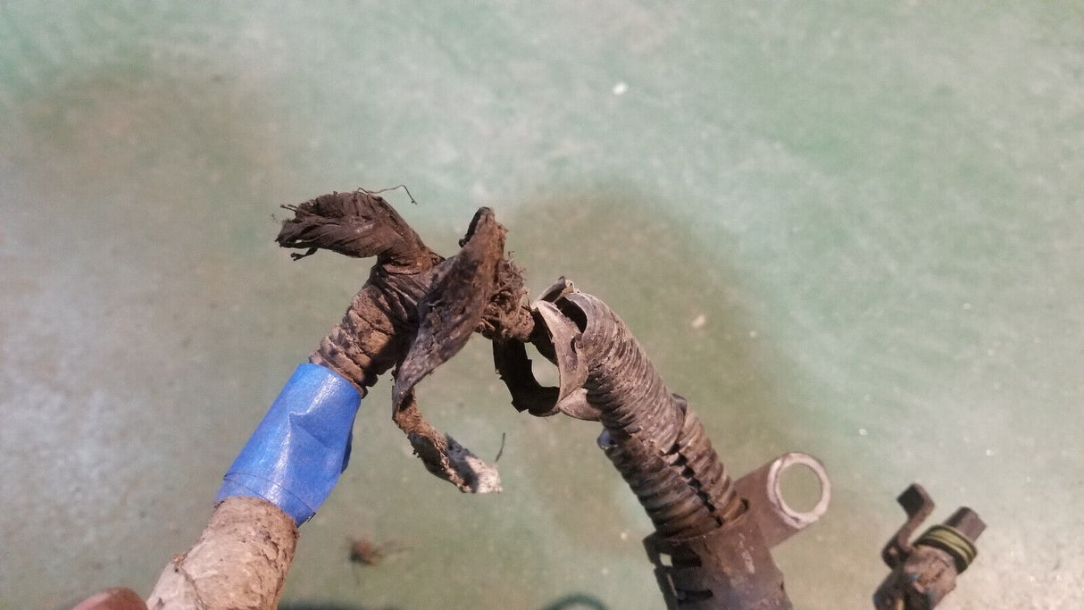 3972349 Engine Harness Dodge Ram Cummins Diesel 5.9L