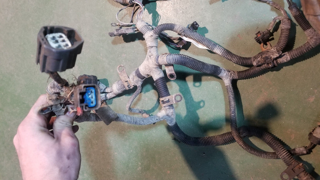 3972349 Engine Harness Dodge Ram Cummins Diesel 5.9L