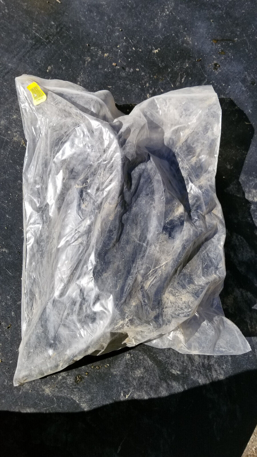 1360262 Emergency Door Seal for Blue Bird