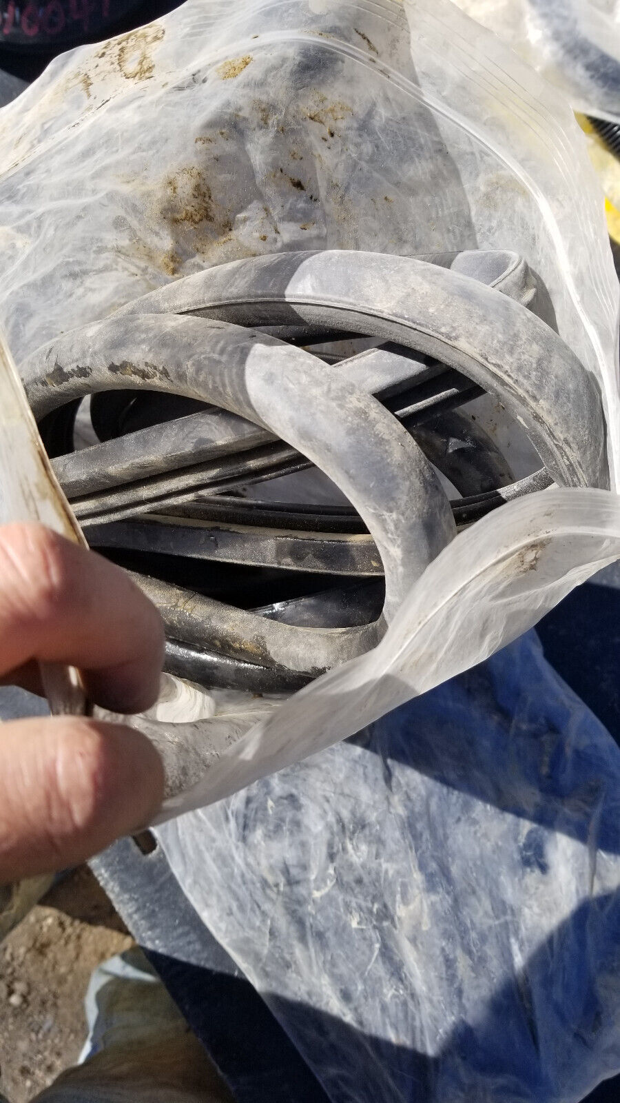 1360262 Emergency Door Seal for Blue Bird