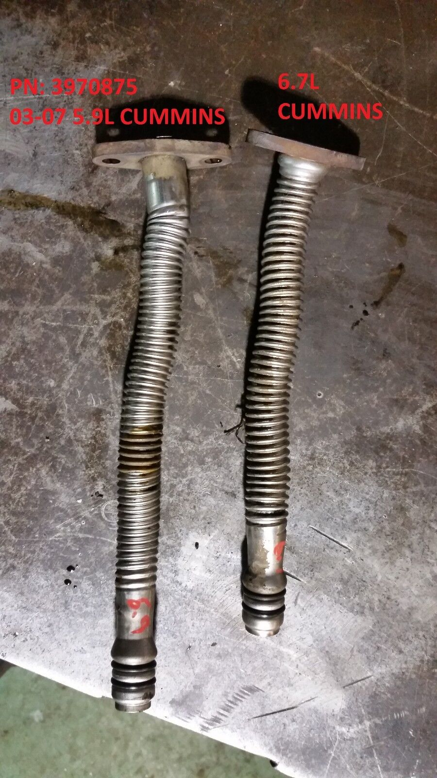 3970875 2003-2007 CUMMINS DODGE RAM 5.9L STOCK Turbo Oil Drain line