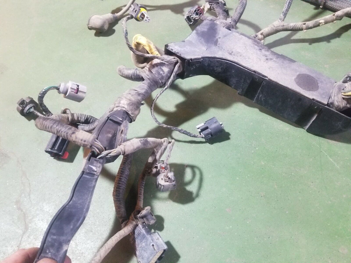 6.4 Powerstroke Turbo Diesel 6.4L International A350 Engine Harness 1876436 C2