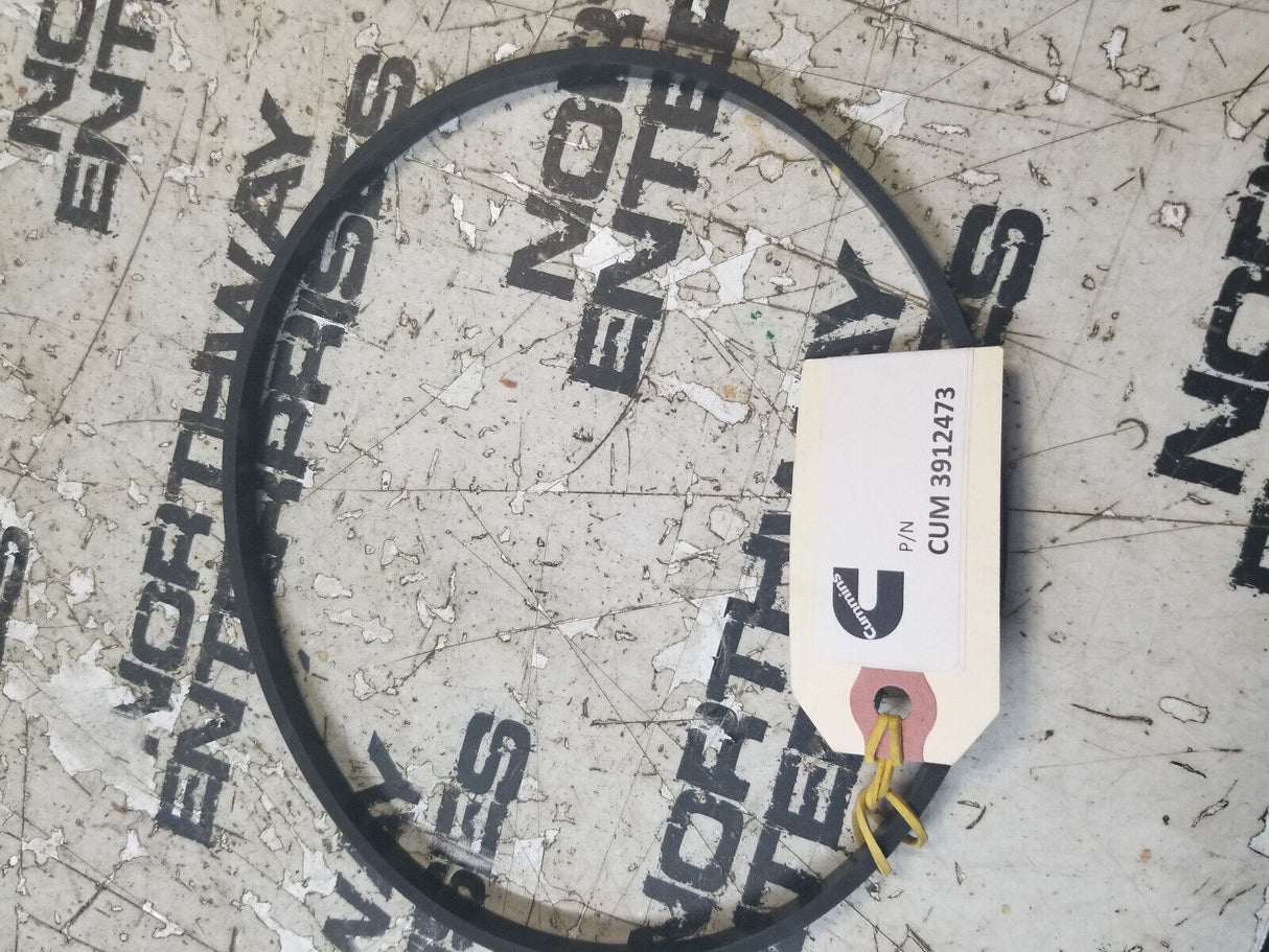 Seal O Ring Flyingwheel Housing Block For Dodge RAM 5.9 Cummins 3912473 89-02