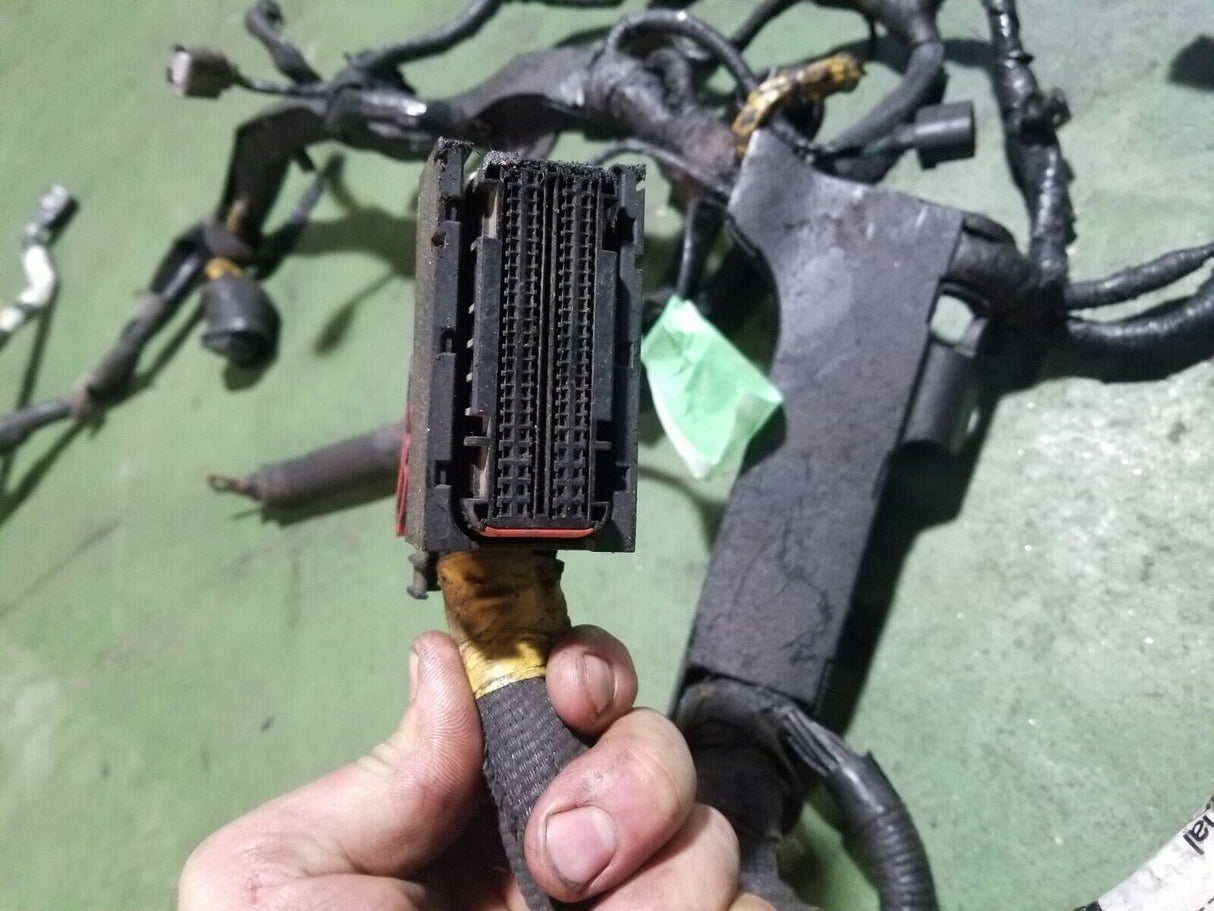 6.4 Powerstroke Turbo Diesel 6.4L International A350 Engine Harness 1876436 C2