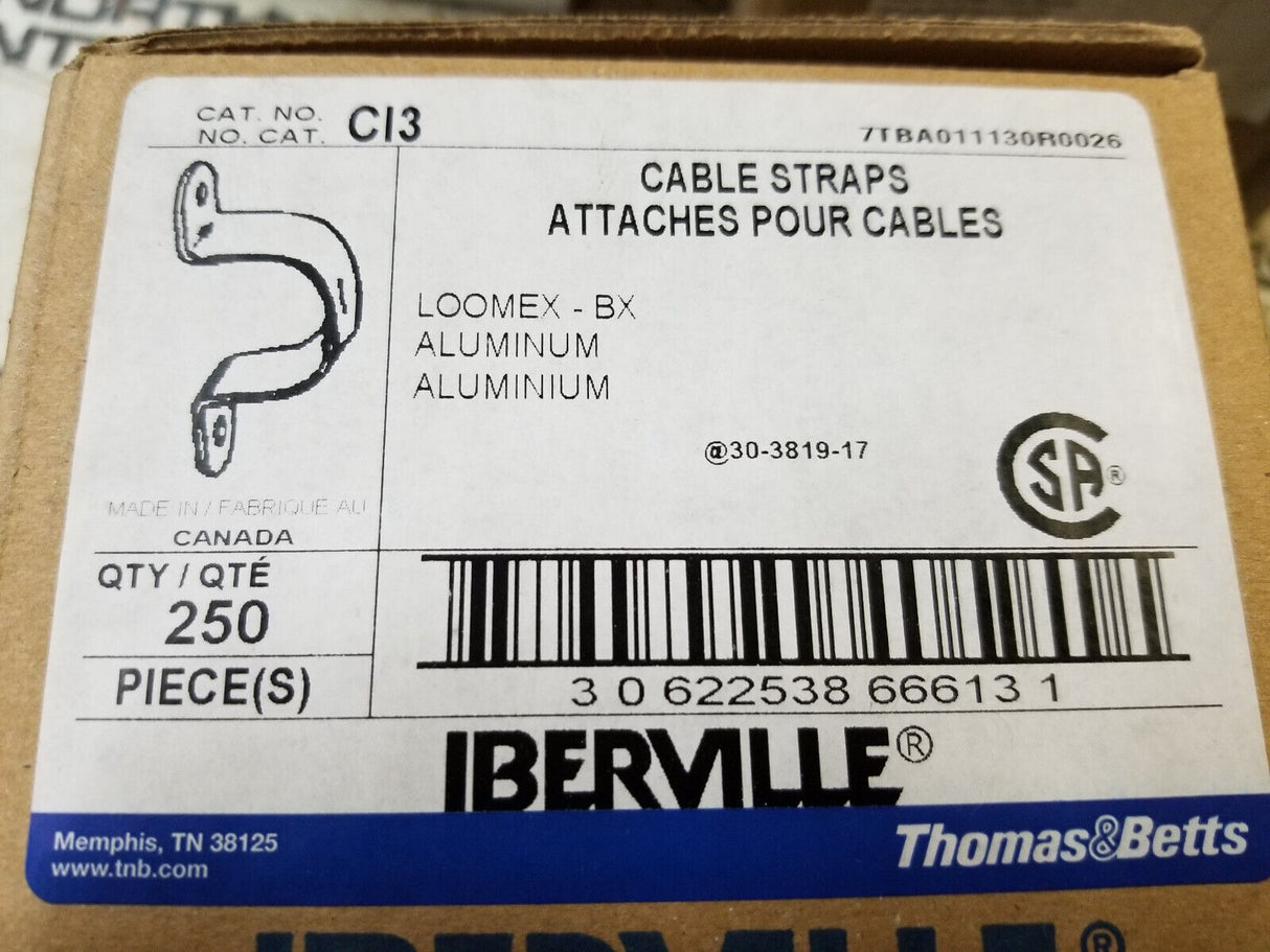 BOX OF 250PC - CI3 IBERVILLE 2-HOLE CABLE STRAP