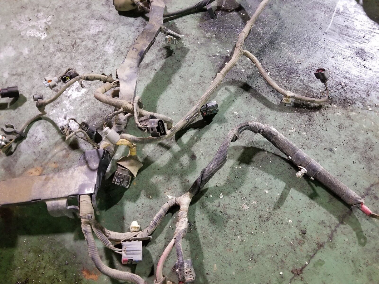 6.4 Powerstroke Turbo Diesel 6.4L International A350 Engine Harness 1876436 C2