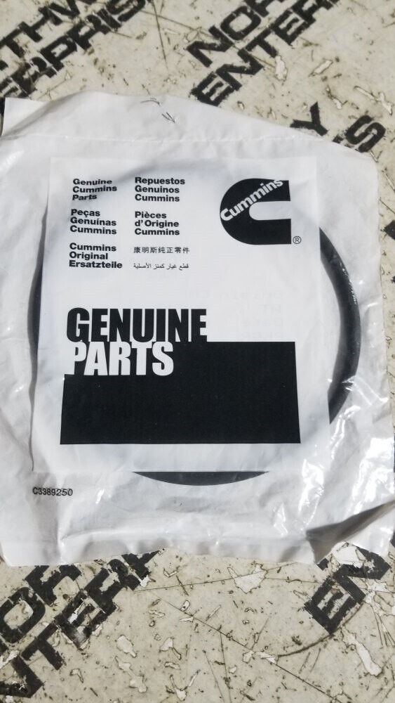 CUMMINS 4019975 ORING