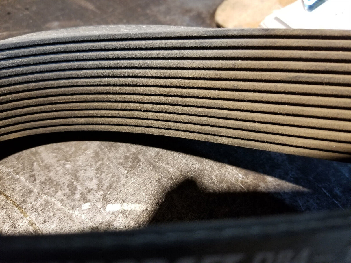 6122490 PACCAR BELT