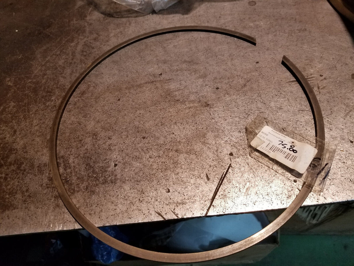 PM CRANES 112220 SEAL RING