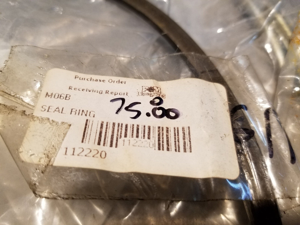 PM CRANES 112220 SEAL RING