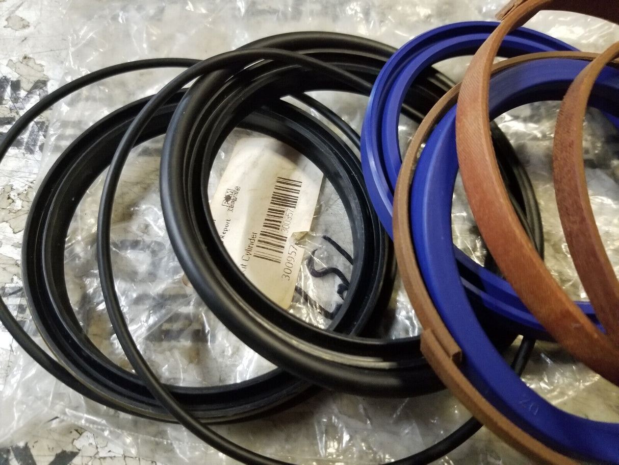 PM300957 Cylinder Seal Kit 300957