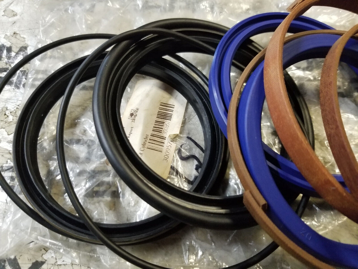 PM300957 Cylinder Seal Kit 300957