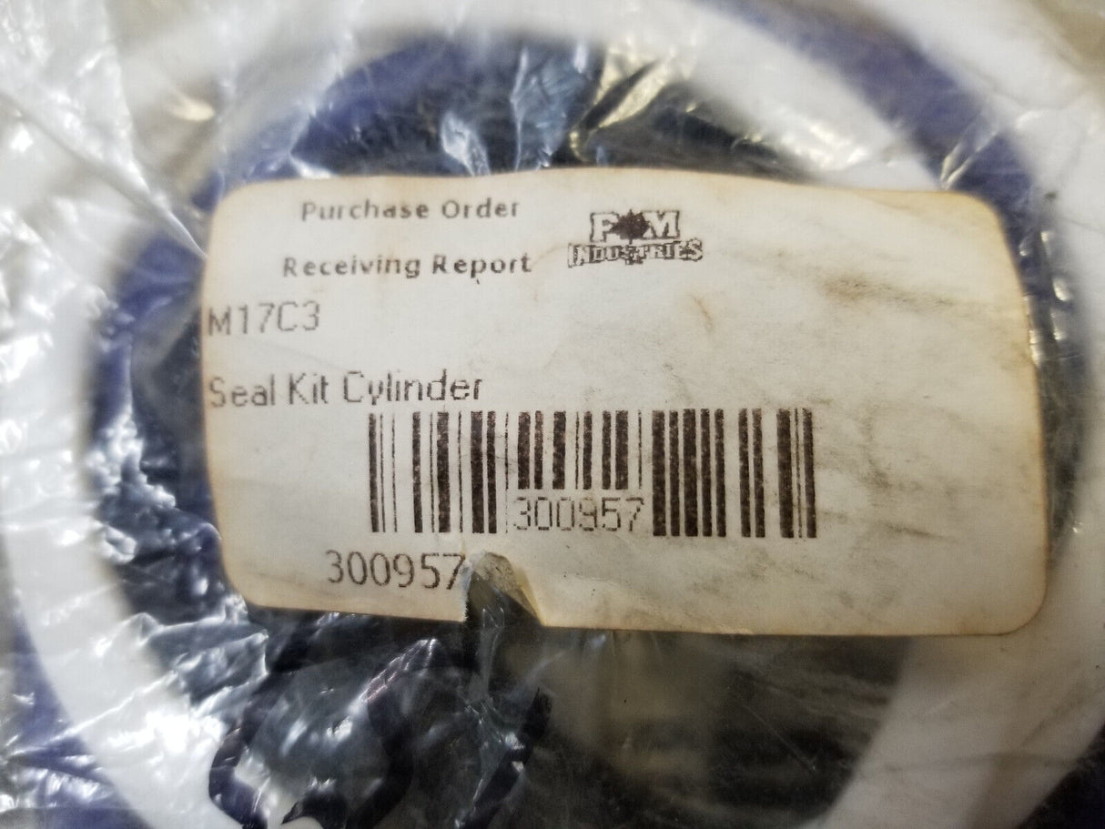 PM300957 Cylinder Seal Kit 300957