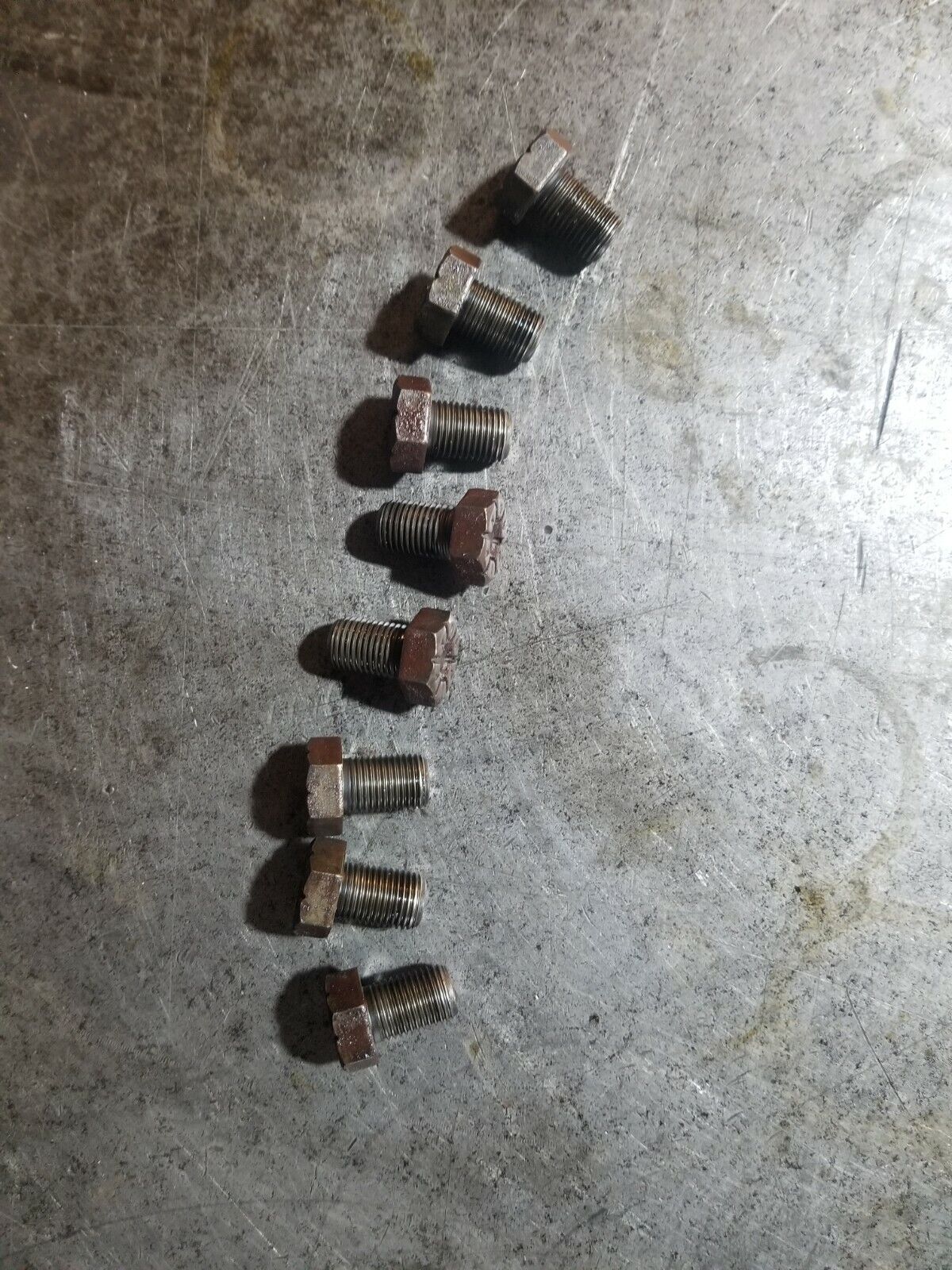 03-07 5.9L Cummins Flexplate Bolts