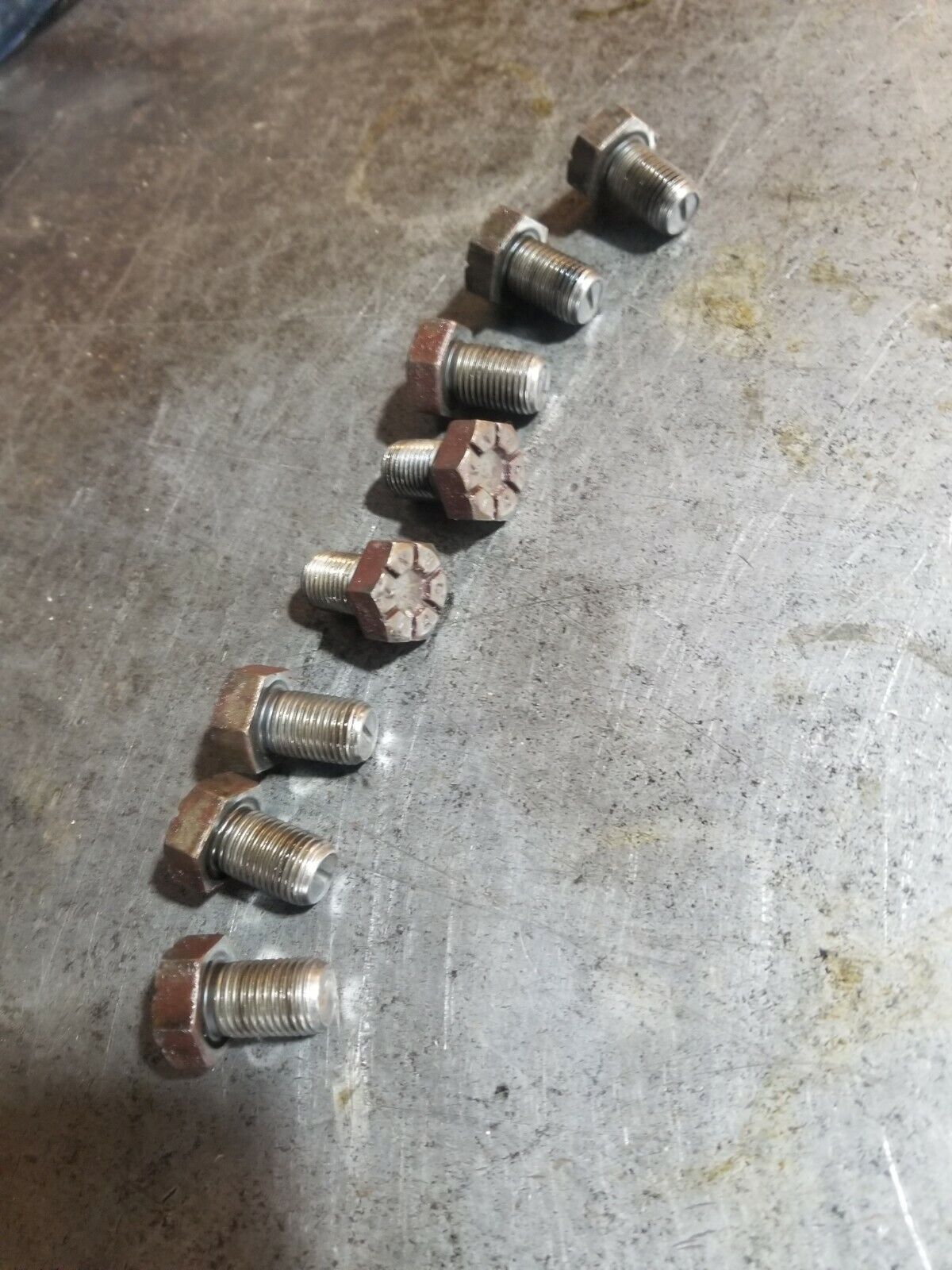 03-07 5.9L Cummins Flexplate Bolts