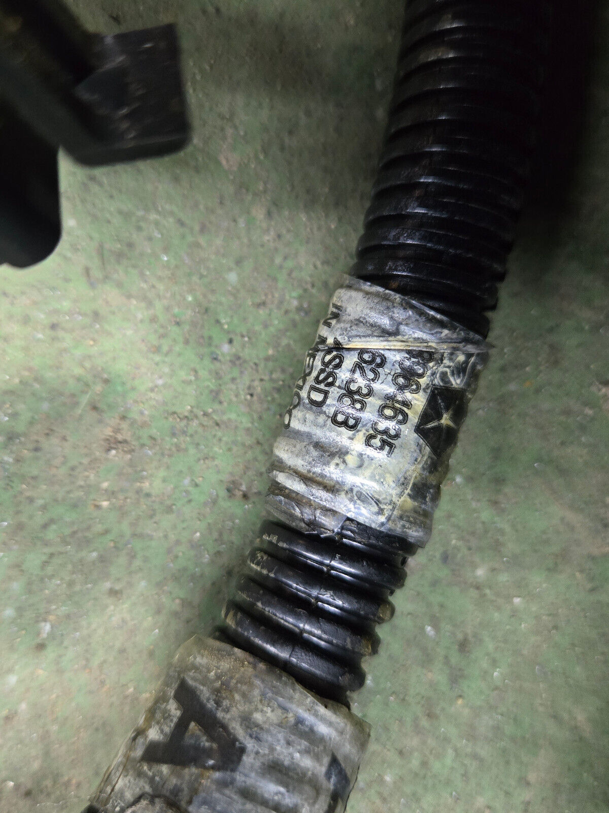 3963705 3964635 CUMMINS ENGINE HANESSES