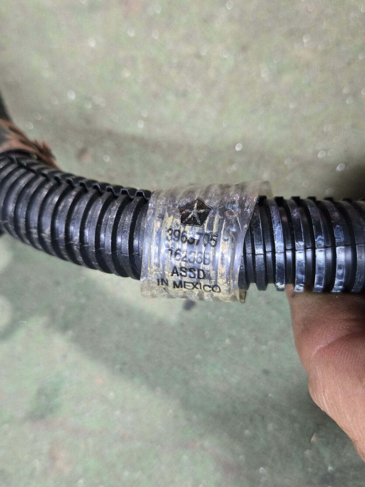 3963705 3964635 CUMMINS ENGINE HANESSES