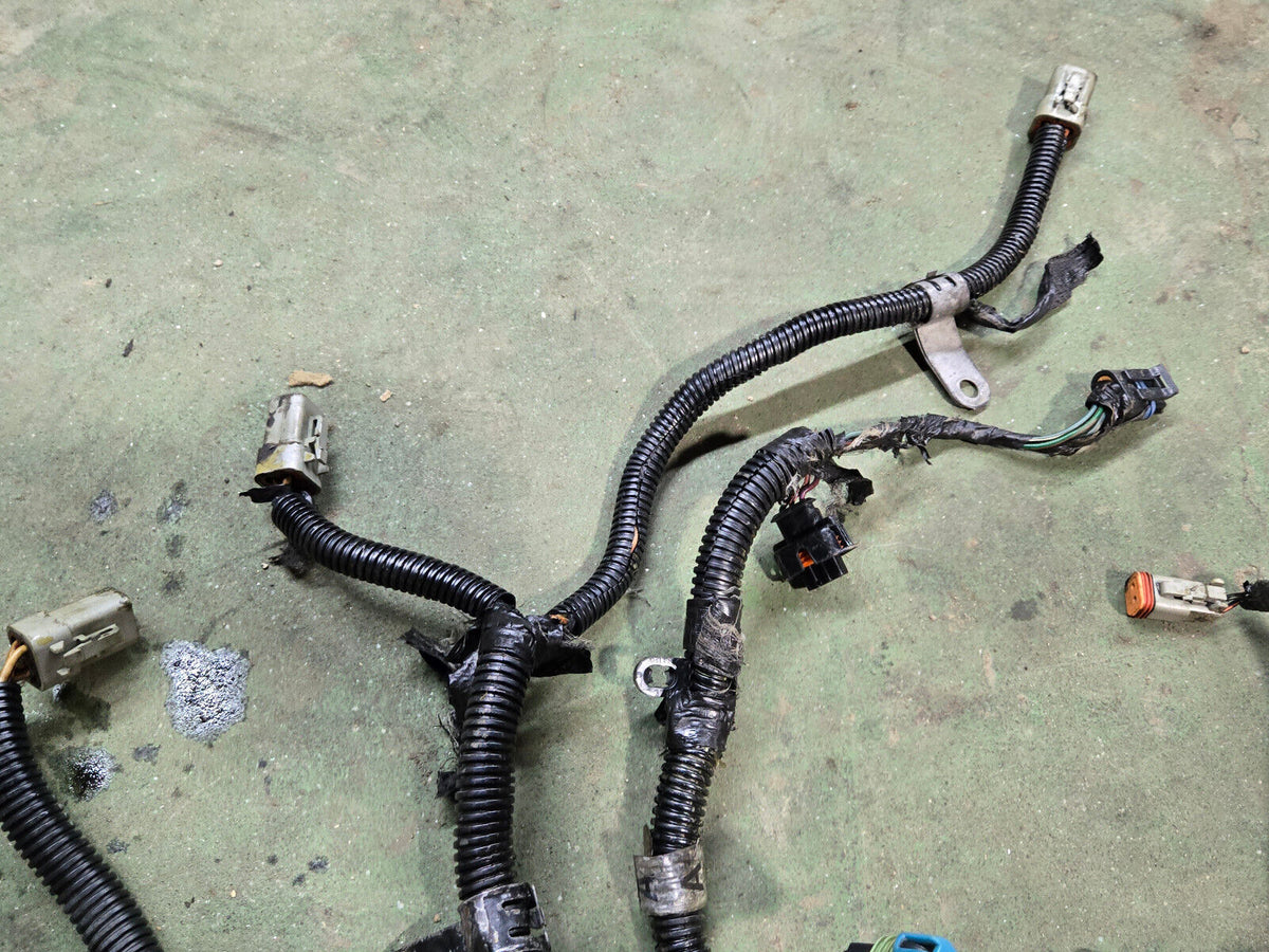3963705 3964635 CUMMINS ENGINE HANESSES