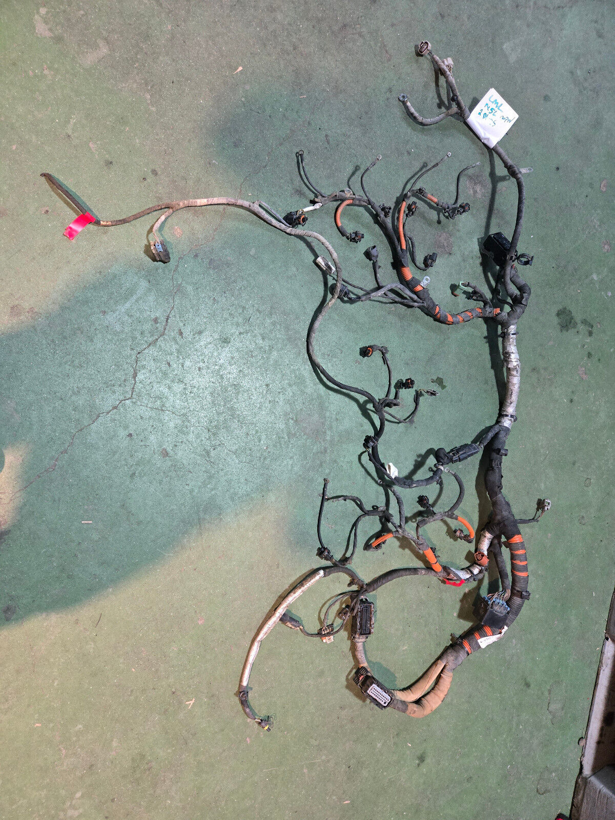 LML ENGINE HARNESS NO VISIBLE PART NUMBER