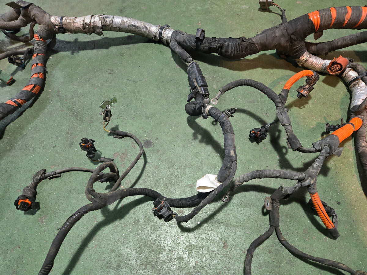 LML ENGINE HARNESS NO VISIBLE PART NUMBER