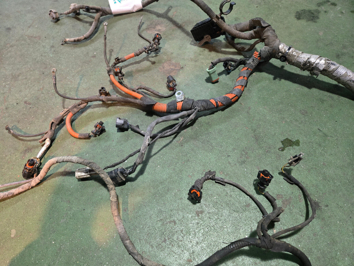 LML ENGINE HARNESS NO VISIBLE PART NUMBER